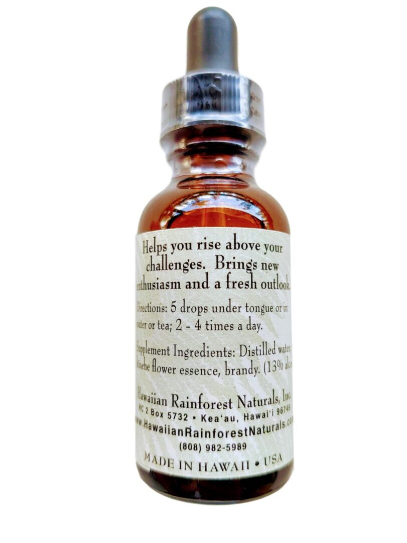 Kinehe Flower Essence for New Beginnings