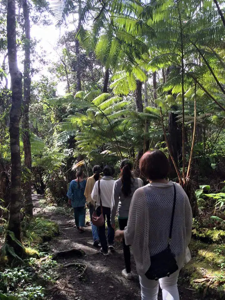 Level 1&2 Experience: Connecting to Nature in Hawaii Nov 19-21, 2025