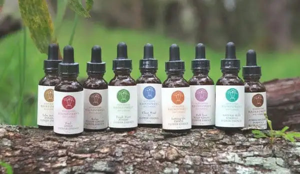Level 1&2 EXPERIENCE Connecting to Nature in Hawaii May 2025