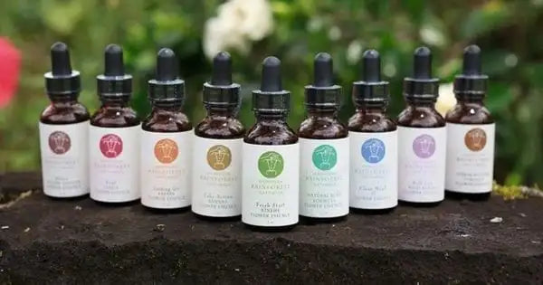Flower Essences Level 1 & 2 October 2025