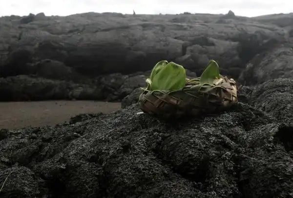 Level 1&2 EXPERIENCE Connecting to Nature in Hawaii May 2025