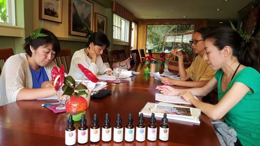 Level 3-4 Flower Essence Practitioner Course October 2024