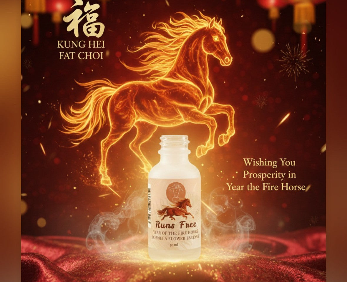 Lunar New Year Specials