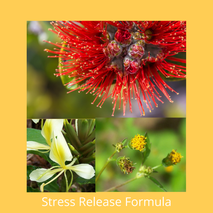 Stress Release Formula Flower Essence