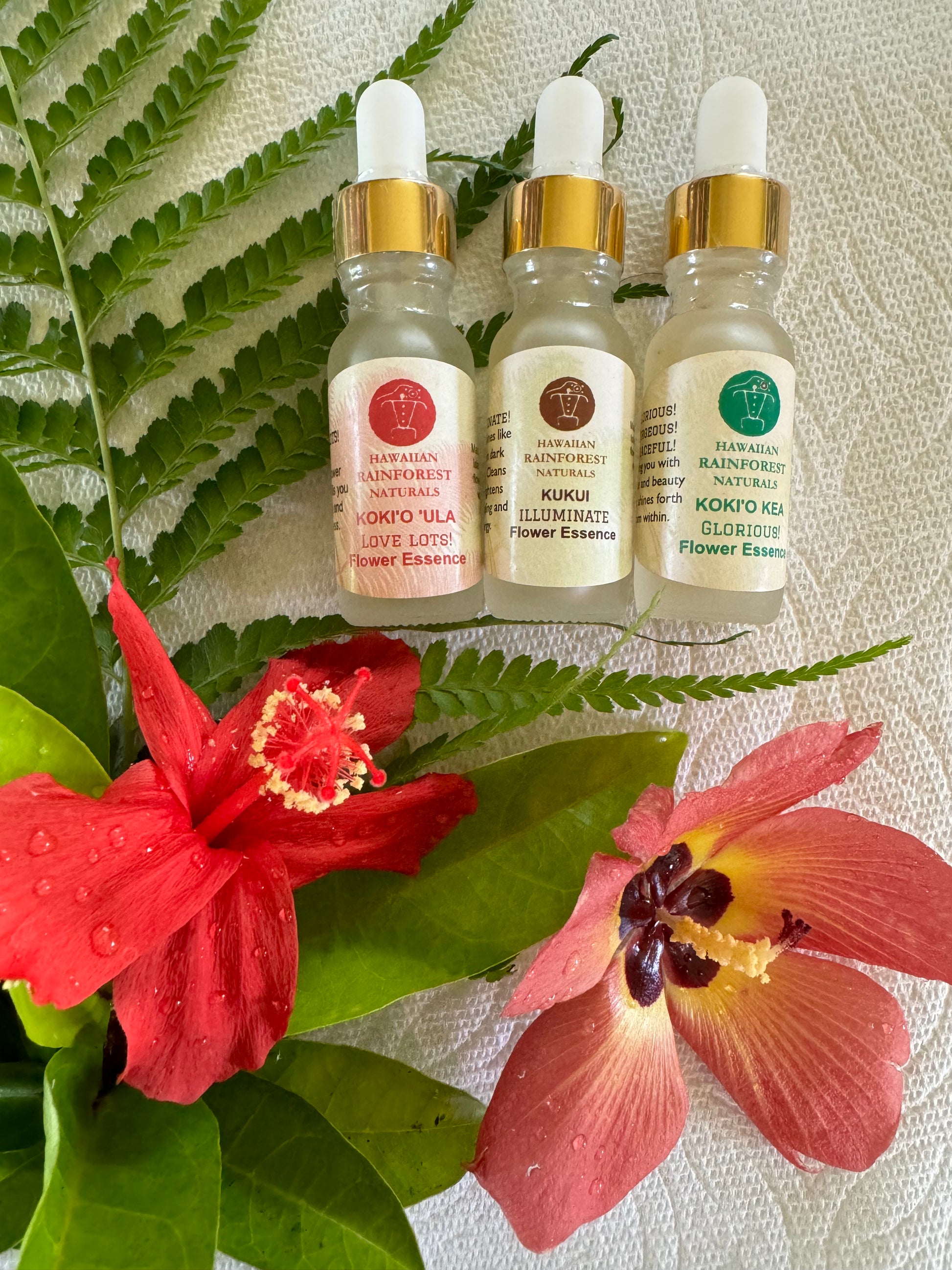 New! Indigenous Hawaiian Flower Essences – Hawaiian Rainforest New! Indigenous Hawaiian Flower Essences – Hawaiian Rainforest